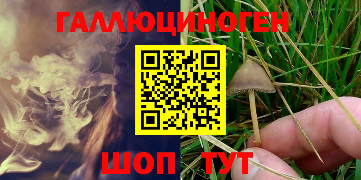 Псилоцибиновые грибы прущие грибы Губаха