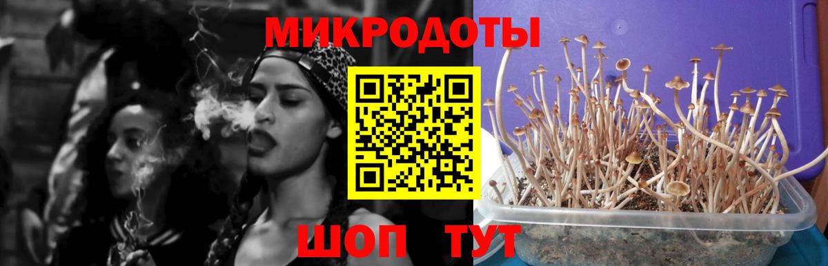 Губаха  Галлюциногенные грибы MAGIC MUSHROOMS  Вход с VPN  Галлюциногенные грибы прущие грибы 